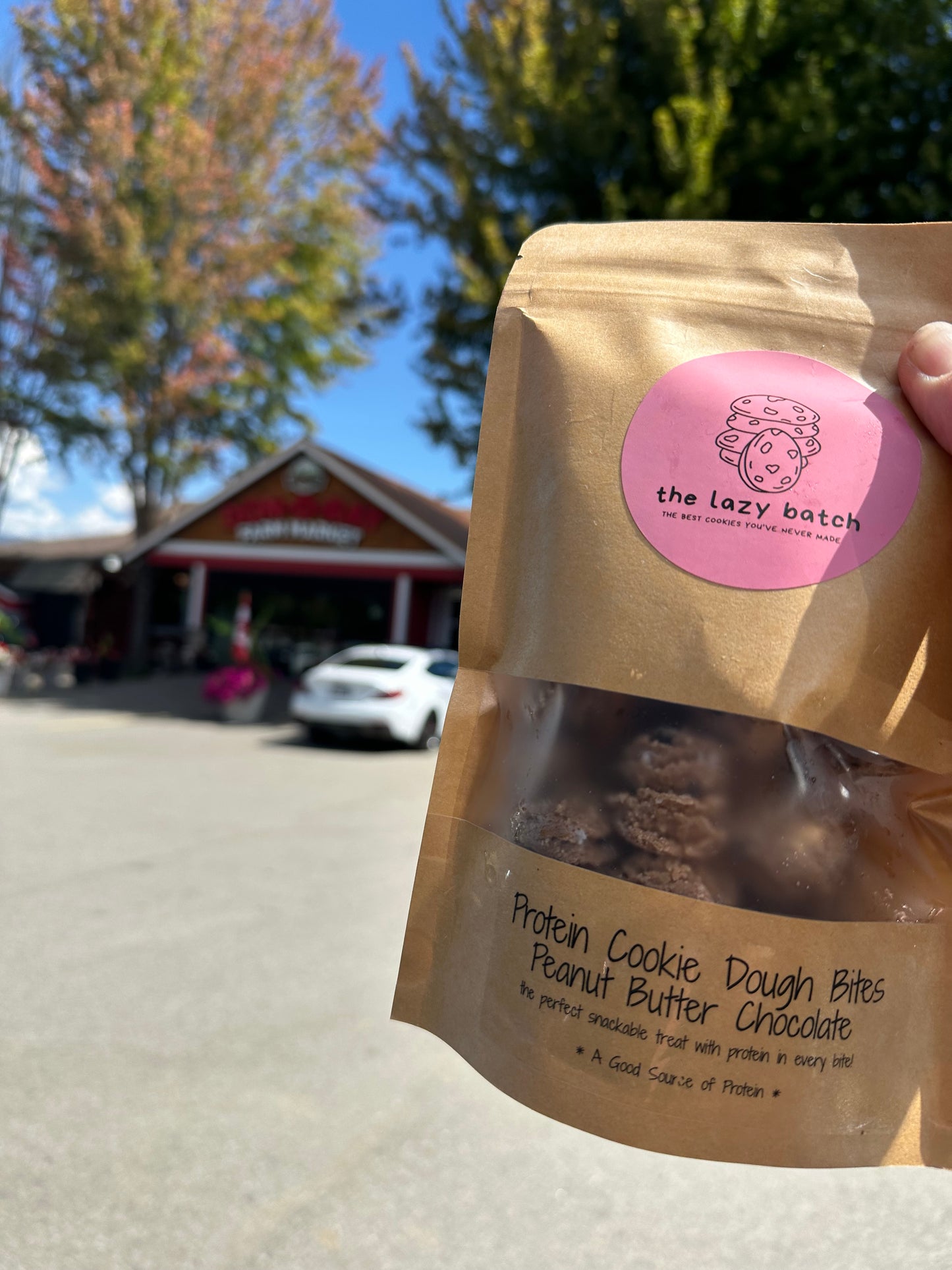 PB Chocolate Protein cookie dough bites